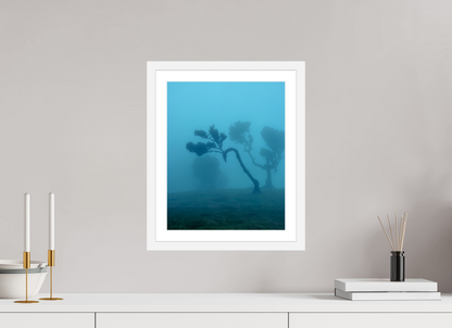 30 x 37.5 cm, White Frame Fanal Fog