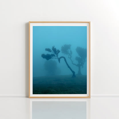Fanal Fog
