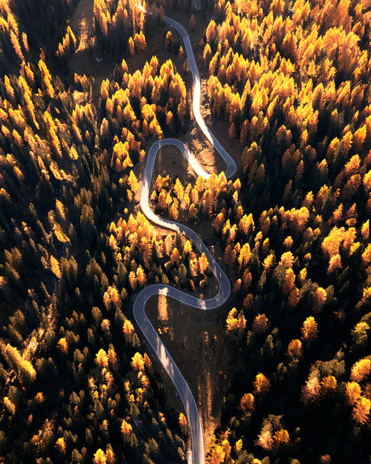 Mountain Roads
