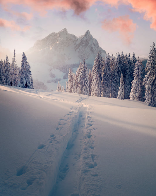 Snow Walk