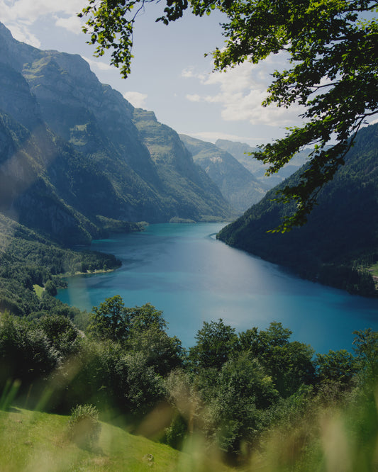 Swiss Postcard