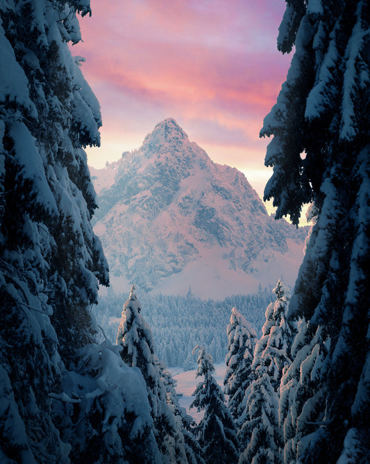 Winter Glow