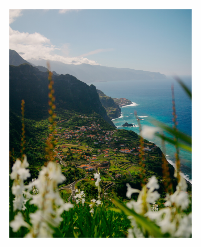 Main image Madeira Coastline