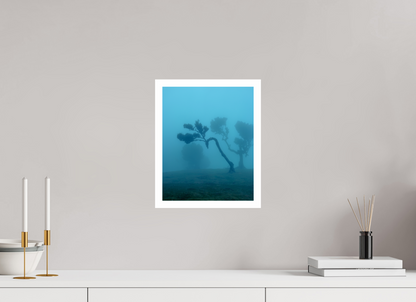 25 x 31.2 cm, Fine Art Print Fanal Fog